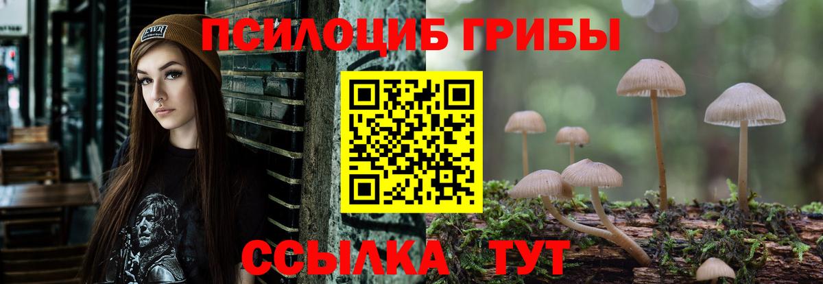Псилоцибиновые грибы мицелий Иркутск